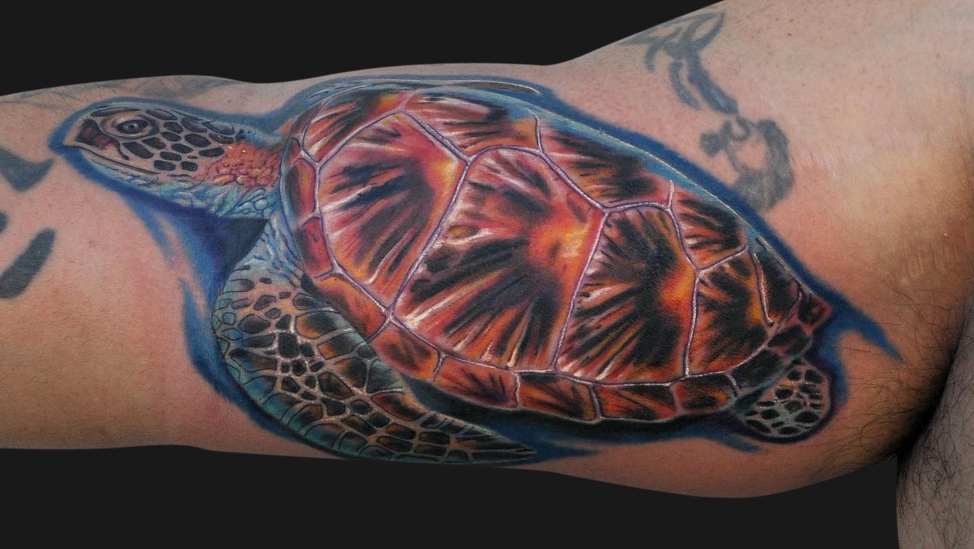 Color Ink Sea Turtle Tattoo On Arm Sleeve