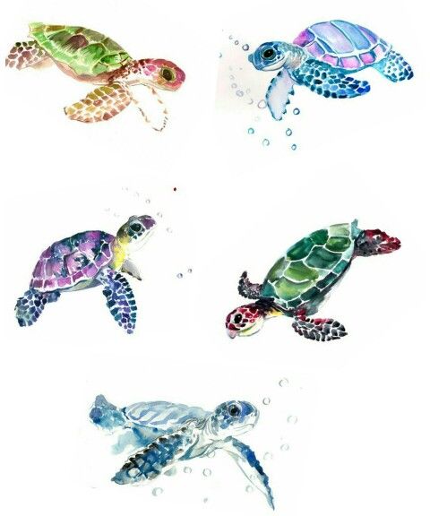 Colored Turtle Tattoos Designs