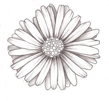 Cool Daisy Flower Tattoo Design