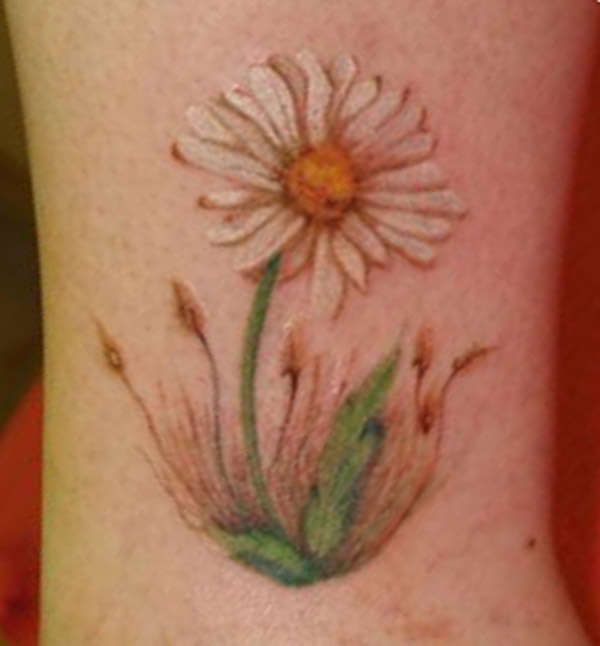 Daisy Flower Tattoo On Leg