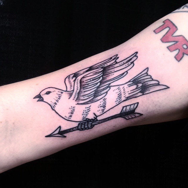  Kyyhky With Arrow In Clews Tattoo On Ranne