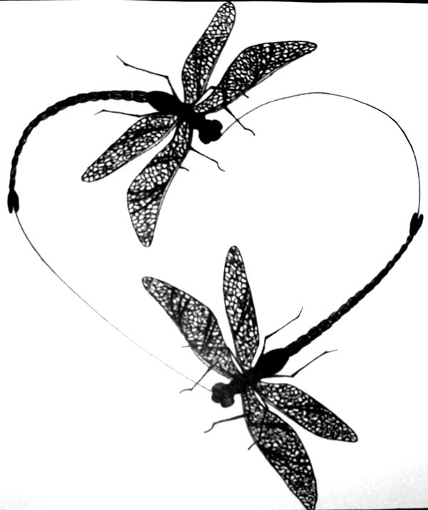 Flying Dragonfly Tattoos Design