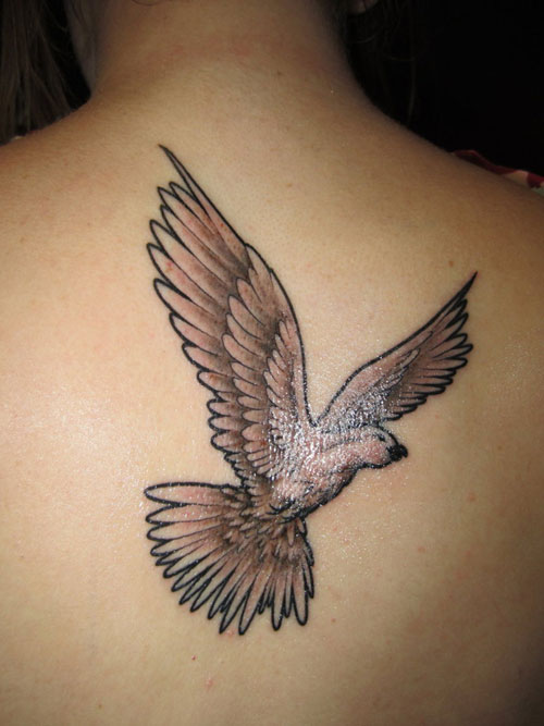 Flying Grey Dove Tattoo For Girls