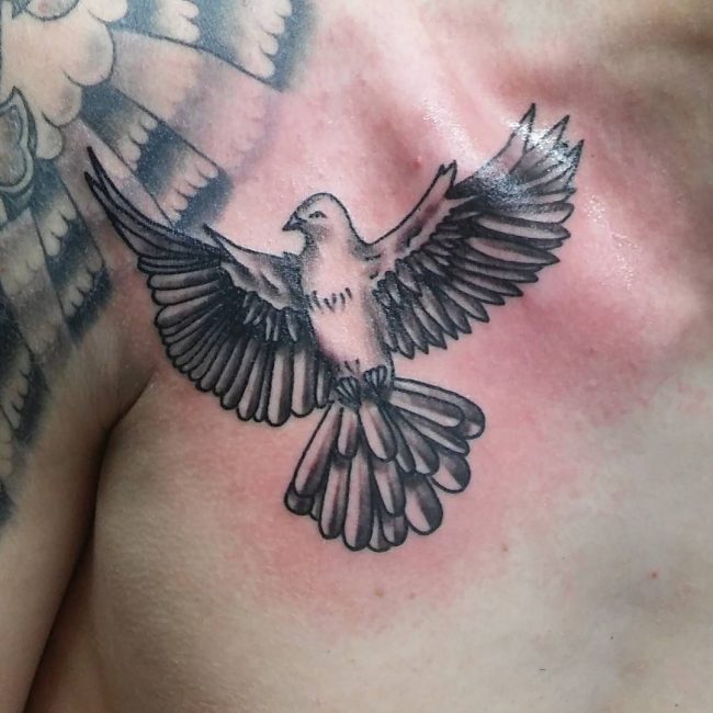 Front Shoulder Flying Dove Tattoo For Men