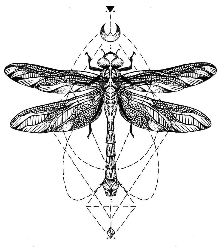 Geometric Dragonfly Tattoo Design