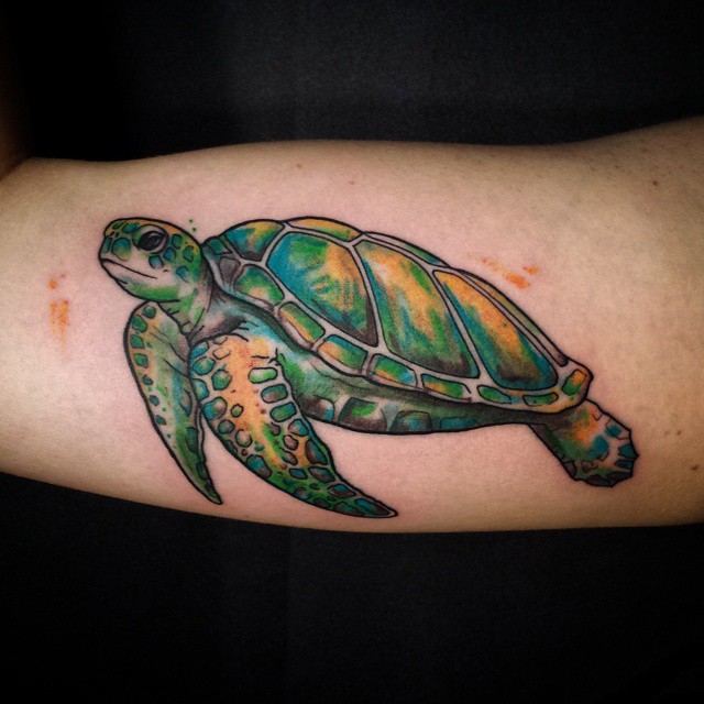 Green Sea Turtle Tattoo On Inner Bicep
