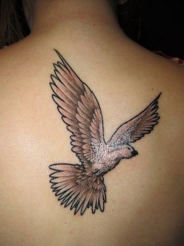 Grey Flying Dove Tattoos On Upper Back