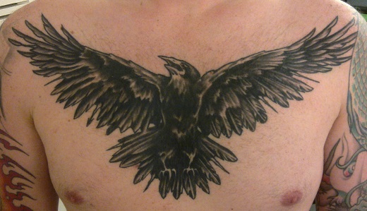 Grey And Black Open Wings Raven Tattoo On Man Chest
