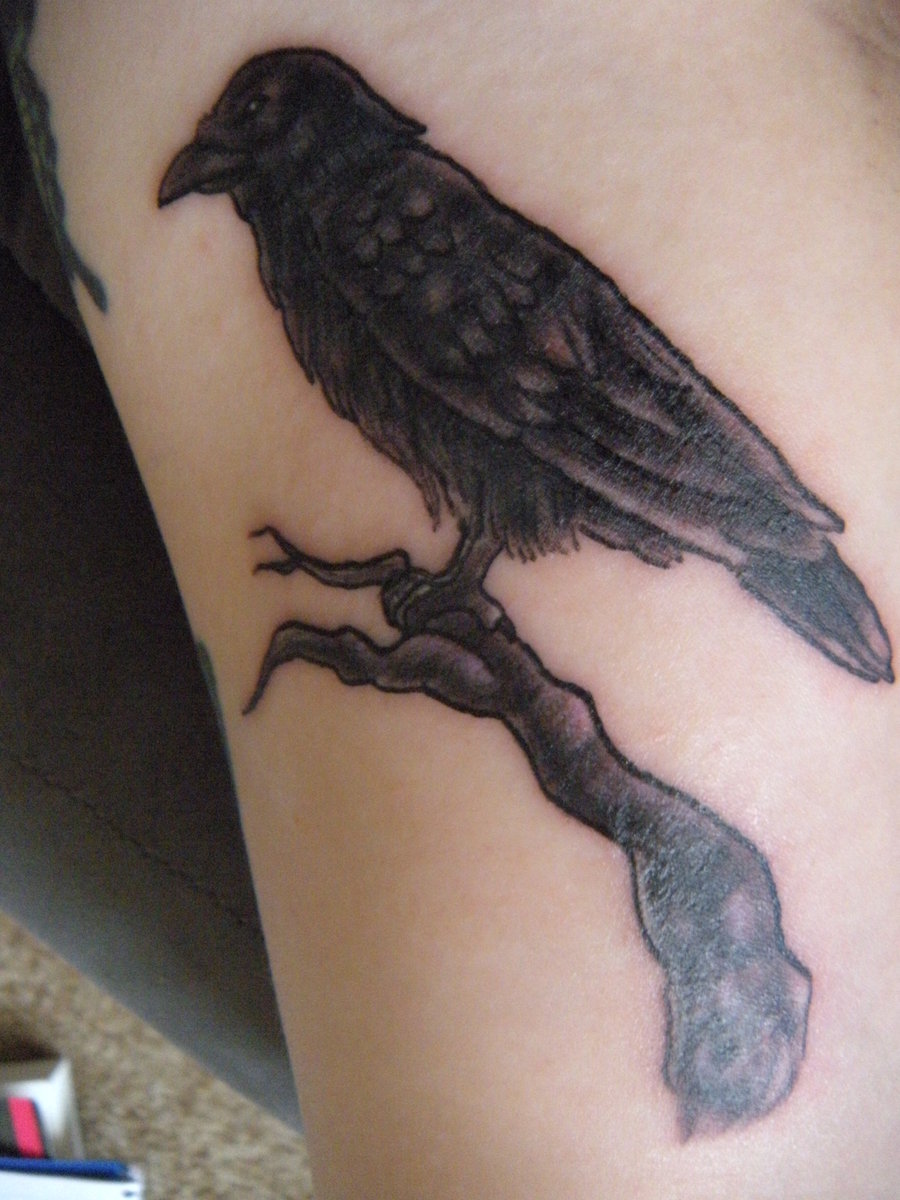 Grey And Black Raven On Tree Tattoo On Side