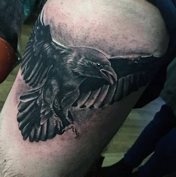 Grey And Black Raven Tattoo On Bicep