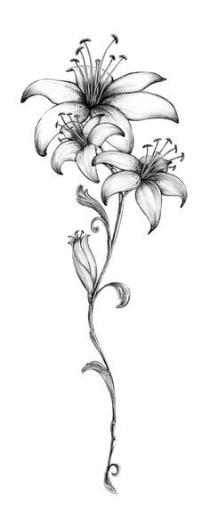 Grey And White Small Lily Tattoos Designs