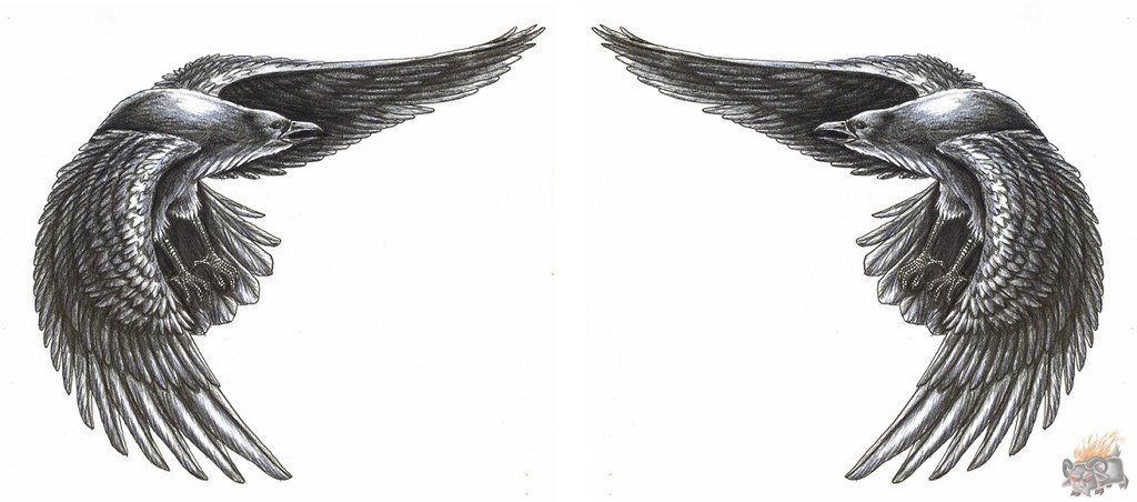 Grey Flying Raven Tattoos Designs
