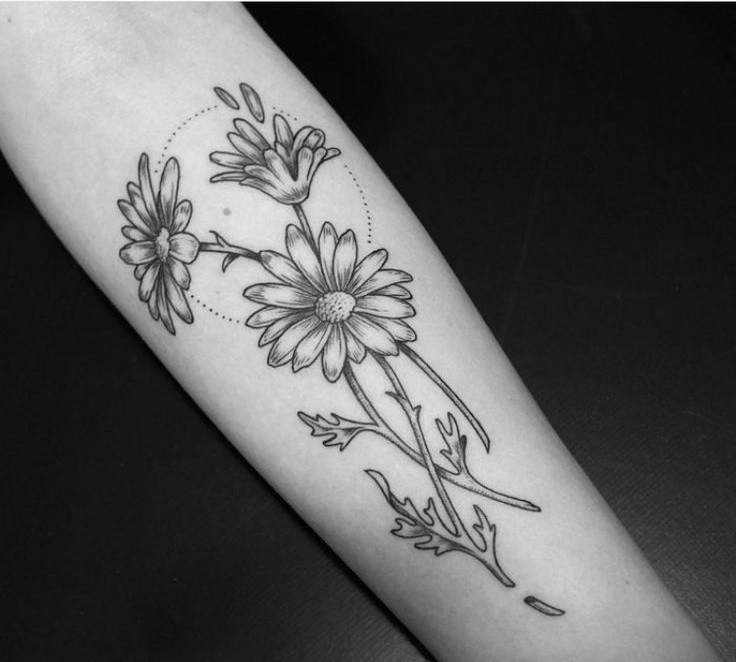 Grey Ink Daisy Flowers Tattoo On Forearm