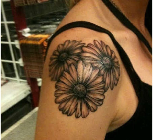 Grey Ink Daisy Flowers Tattoos On Right Shoulder