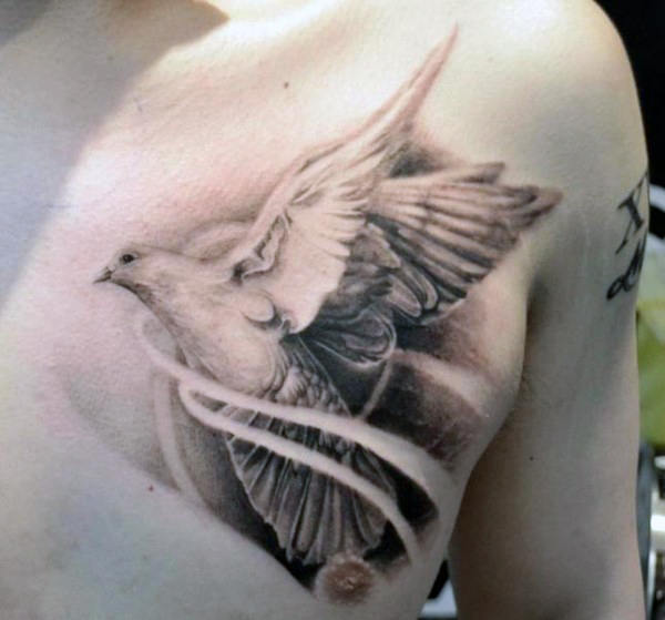 Grey Ink Dove Tattoo On Man Chest