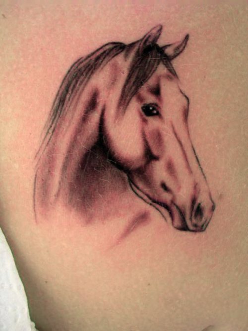 Grey Ink Horse Face Tattoo