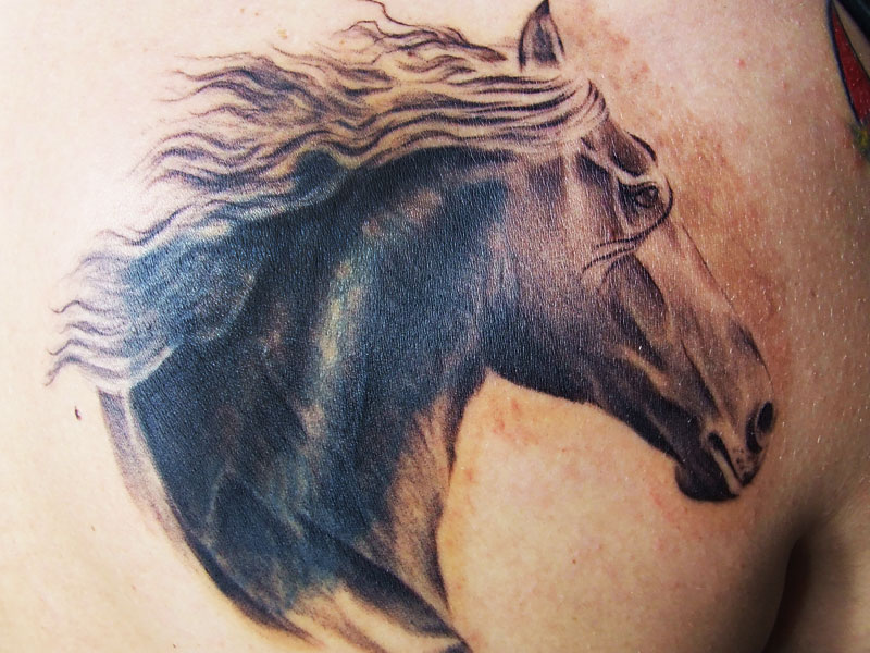 Grey Ink Horse Head Tattoo On Right Back Shoulder