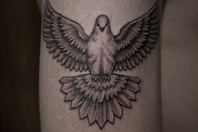 70+ Best Dove Tattoos Ideas And Designs With Meaning