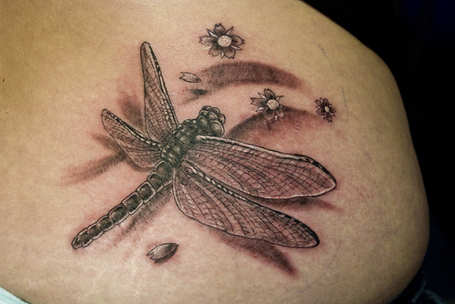 Grey Shaded Dragonfly Tattoo On Shoulder