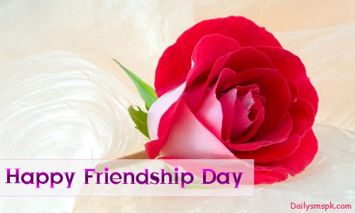 Happy Friendship Day Rose Flower Picture For Whatsapp