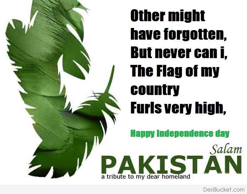 Happy Independence Day Salam Pakistan A Tribute To My Dear Homeland