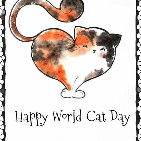 Imágenes Día del Gato Internacional World Cat Day