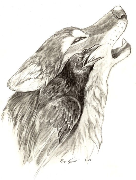 Howling Wolf And Raven Envious Of The Night Sky Waits For Star Fall From The Heaven Tattoo Design