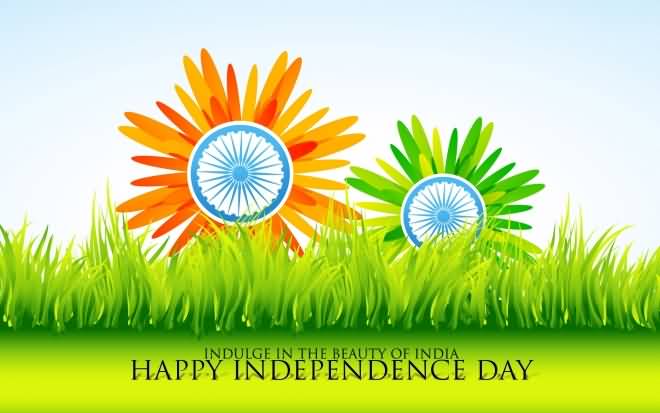 Indulge In The Beauty Of India Happy Independence Day Tri Color Flowers Picture