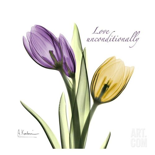 Love Unconditionally Purple And Yellow Tulip Tattoo Design