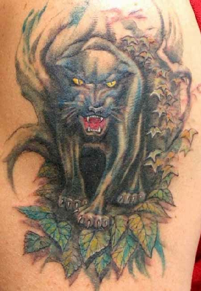 Maple Leaves And Angry Panther Tattoo On Shoulder