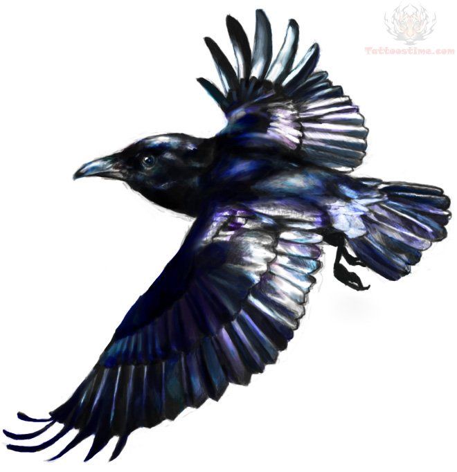 Multicolored Flying Raven Tattoo Design