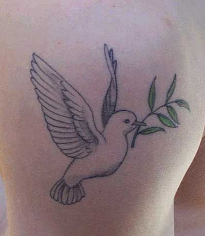 Nice Dove Tattoo On Right Back Shoulder