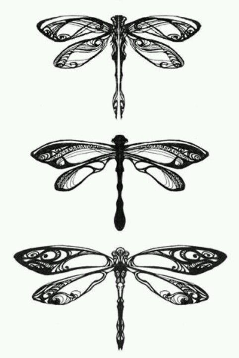 Nice Grey And Black Dragonflies Tattoo Design