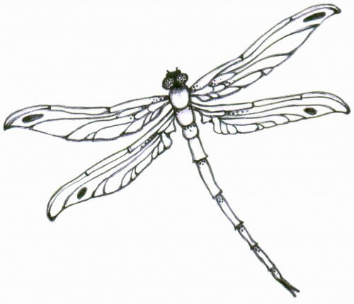 Nice Outline Dragonfly Tattoo Design