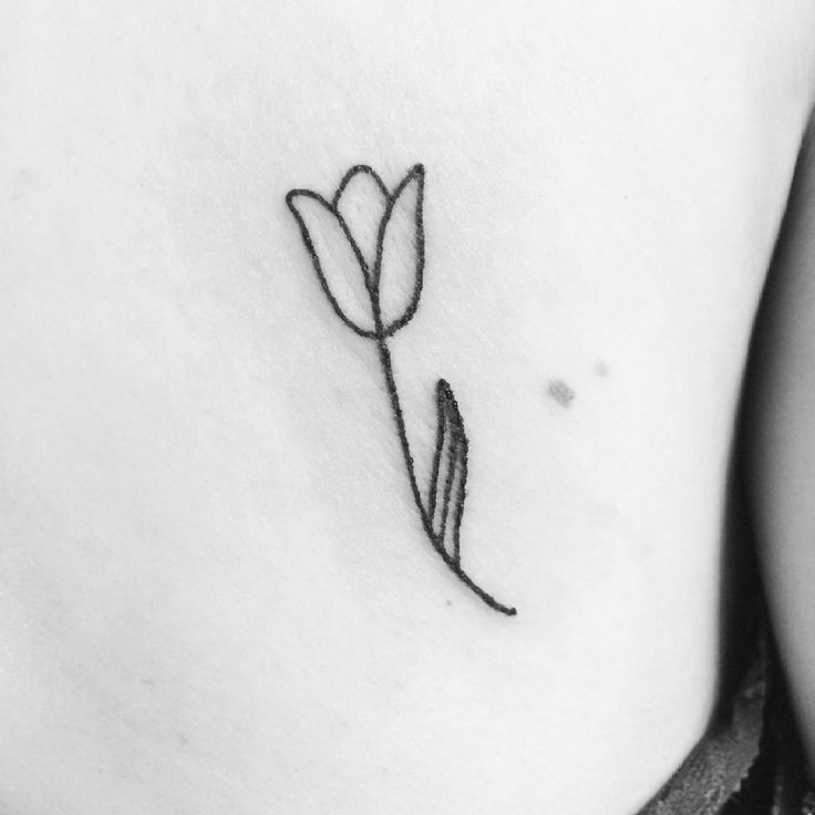Nice Outline Tulip Tattoo On Back