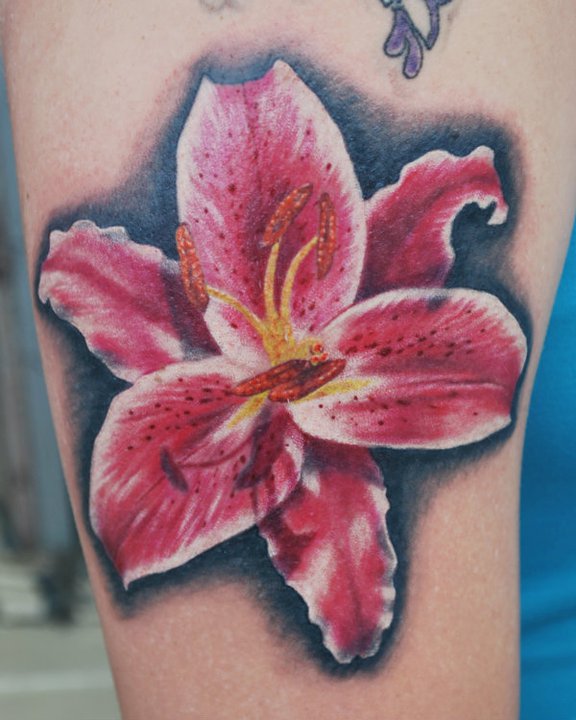 Nice Pink Realistic Lily Tattoo On Bicep