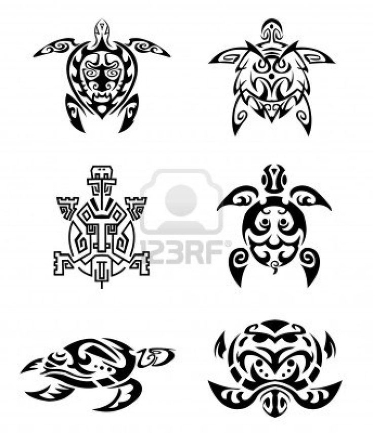 Nice Tribal Turtle Tattoos Designs