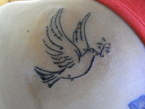 Outline Dove Tattoo On Left Back Shoulder