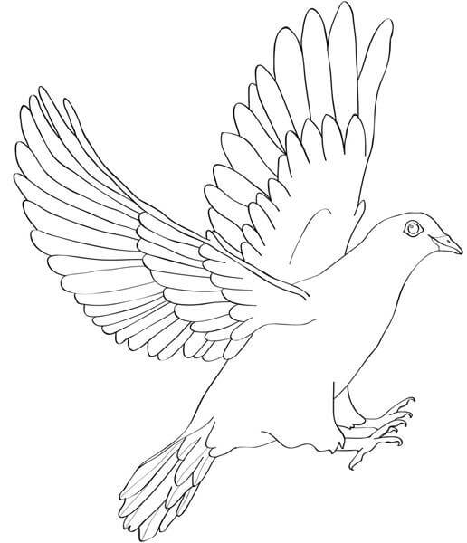Outline Flying Dove Tattoo Design