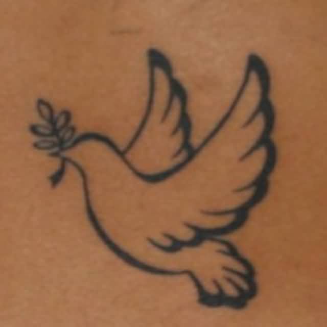 Outline Peace Dove Tattoo Idea