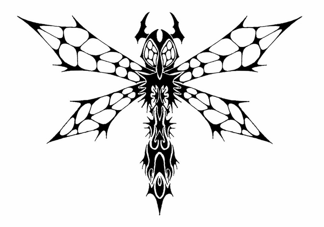 Outline Tribal Dragonfly Tattoo Design Stencil
