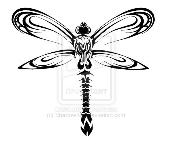 Outline Tribal Dragonfly Tattoo Sample