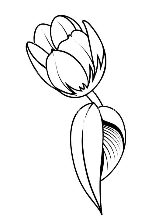 Outline White Flower Tulip Tattoo Design