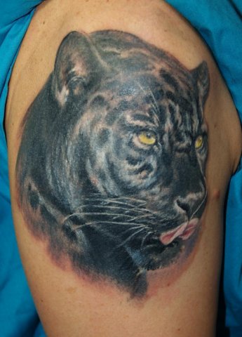 Realistic Black Panther Head Tattoo On Shoulder