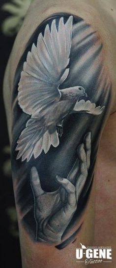 Realistic Dove Tattoo On Right Half Sleeve