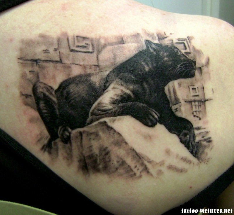 Realistic Grey And Black Panther Tattoo On Upper Back