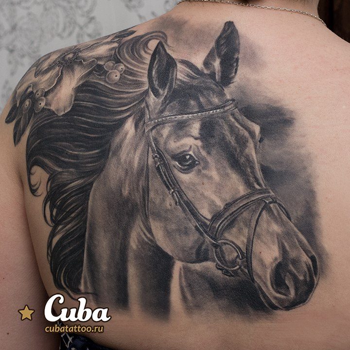 Realistic Grey Horse Head Tattoo On Left Back Shoulder
