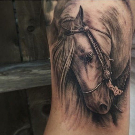 Realistic Grey Horse Tattoo On Arm Sleeve