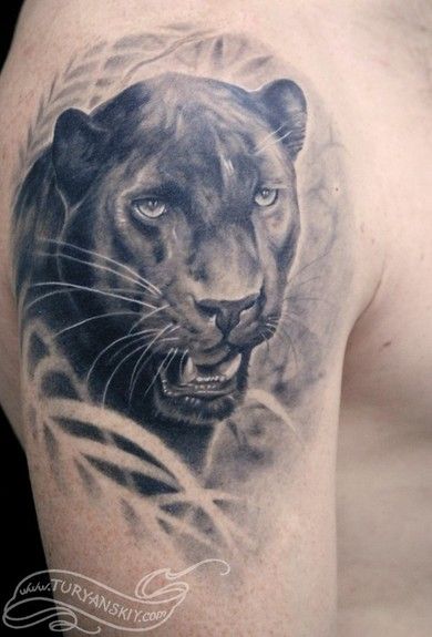 Realistic Grey Panther Tattoo On Right Shoulder