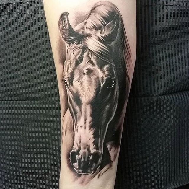 Realistic Horse Head Tattoo